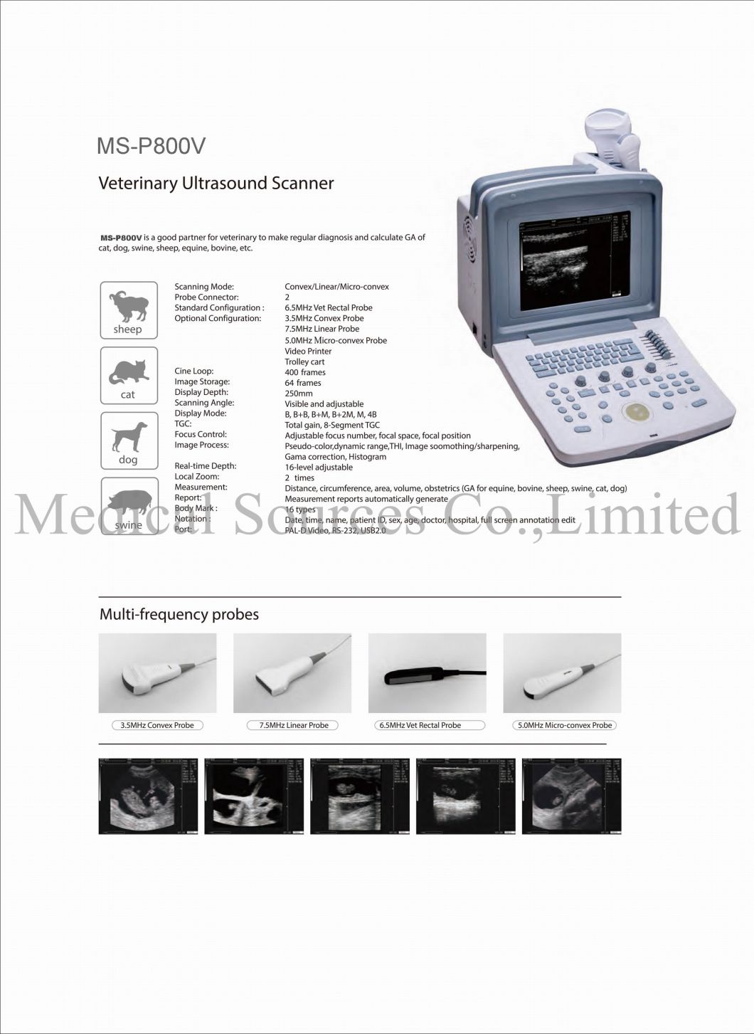 (MS-P800V) Machine à ultrasons portable portable vétérinaire, scanner à ultrasons vétérinaire