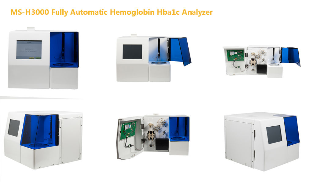 (MS-H3000) Fully Automatic Glycated Hemoglobin HPLC Analyzer Hba1c Analyzer